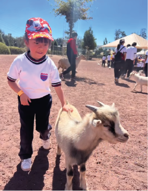 Niño con cabrita en la granja